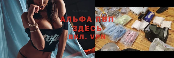 ПСИЛОЦИБИНОВЫЕ ГРИБЫ Каменка