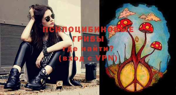 спиды Иннополис