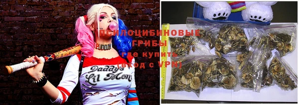 прущие крисы Инта