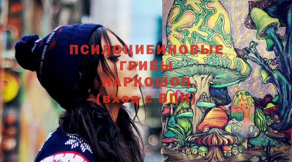 ПСИЛОЦИБИНОВЫЕ ГРИБЫ Каменка