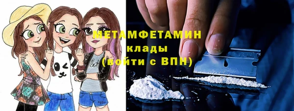 ПСИЛОЦИБИНОВЫЕ ГРИБЫ Каменка