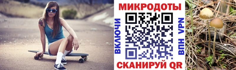 Псилоцибиновые грибы прущие грибы  Купить где  Заводоуковск 