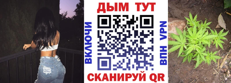 Купить где  Заводоуковск  Марихуана индика 